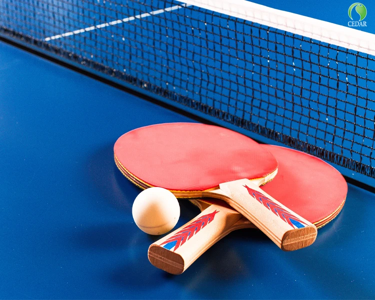 برگزاری مسابقات پینگ پنگ در هلدینگ سرو پایدار (هلدینگ سدار)